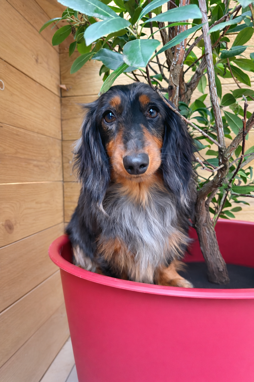 385AC1EF-8D1F-4C2D-A7E0-D75BD49F046B