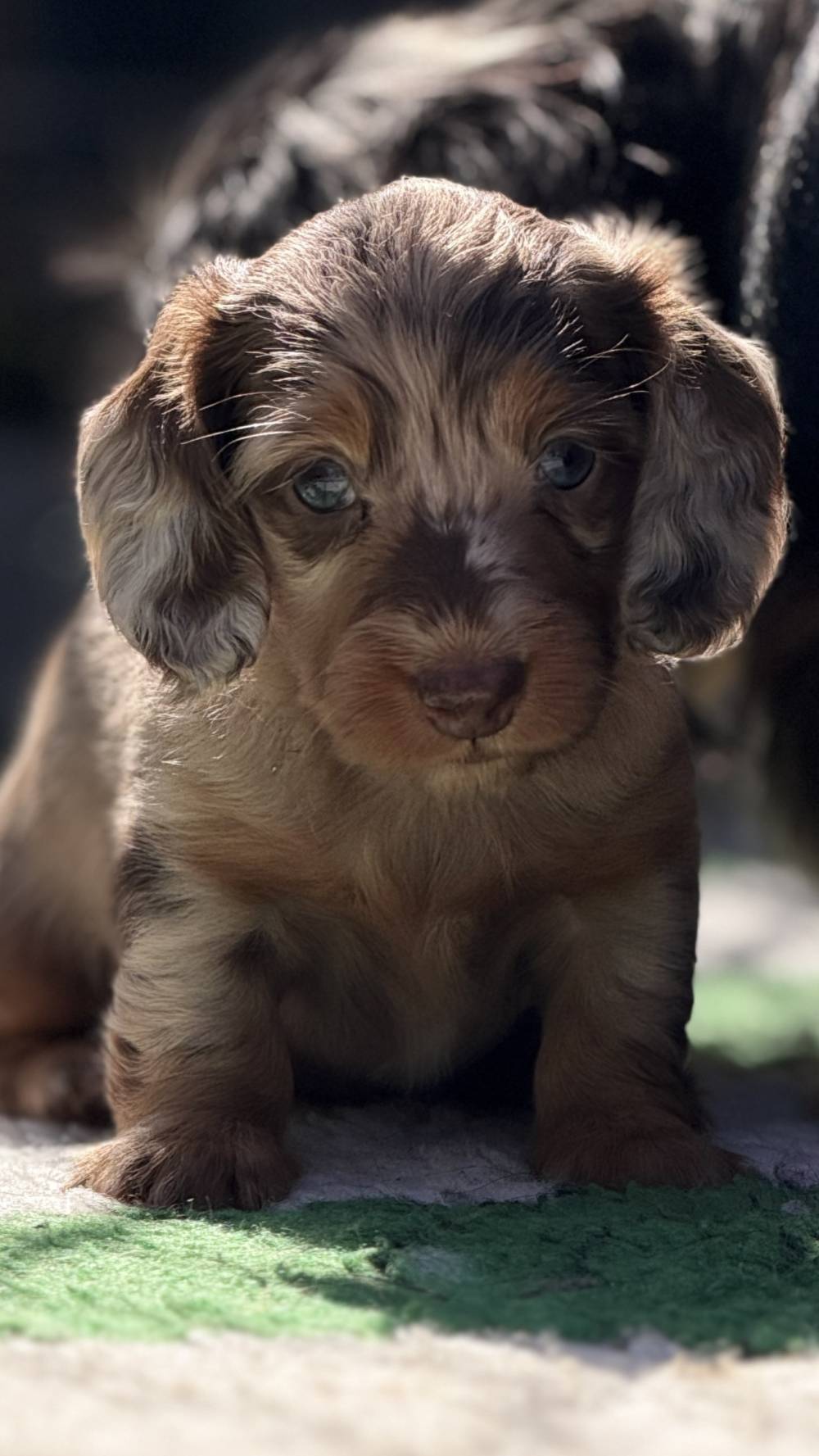 ABBY